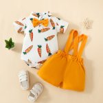 Baby Boy Fashion Short Sleeve Triangle Romper + Bib Shorts Set 0-1 Years Old Cartoon Animal Top Pants