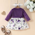 Baby Girls Autumn and Winter Long Sleeve Coat + Dress Set 0-3 Years Old Girls Plush Coat Vest Skirt