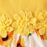 Baby Girl Summer Sleeveless Pit Stripe Applique Floral Print Romper Dress Baby Casual Dress